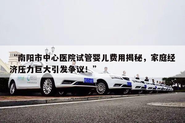 “南阳市中心医院试管婴儿费用揭秘，家庭经济压力巨大引发争议！”