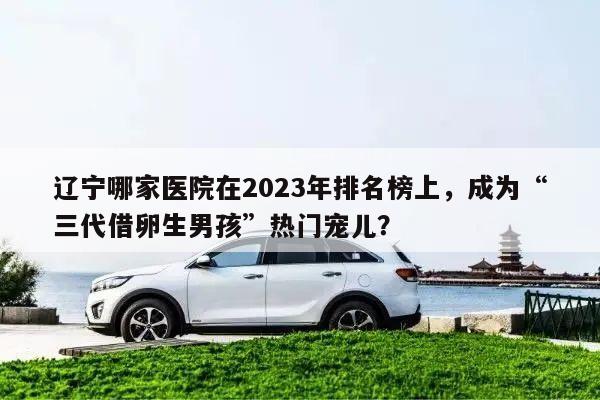 辽宁哪家医院在2023年排名榜上,成为“三代借卵生男孩”热门宠儿?