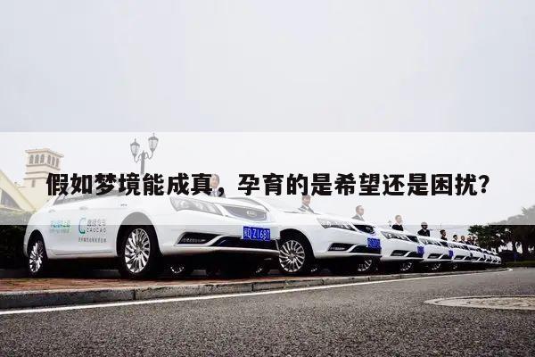 假如梦境能成真,孕育的是希望还是困扰?