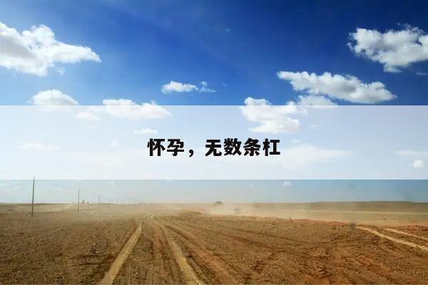 怀孕,无数条杠