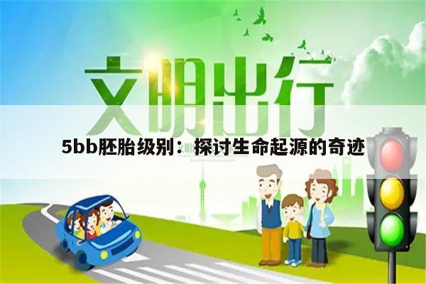 5bb胚胎级别:探讨生命起源的奇迹