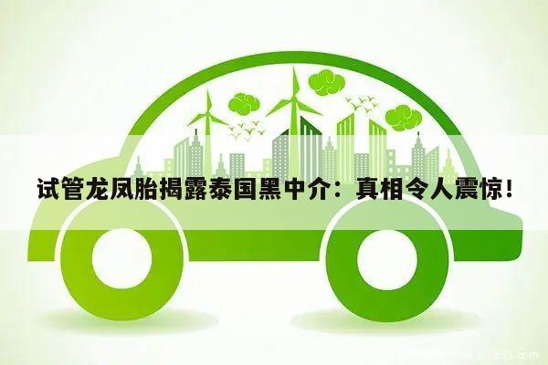 试管龙凤胎揭露泰国黑中介:真相令人震惊!