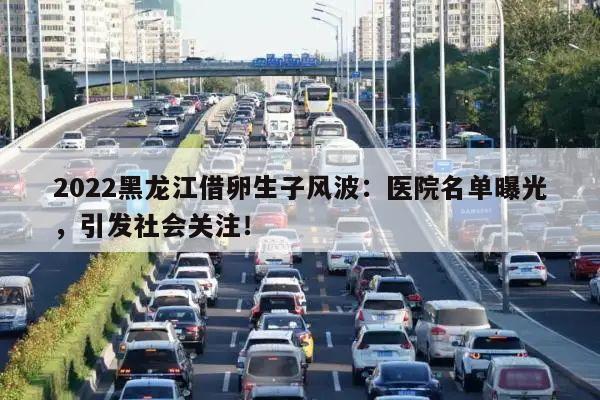 2022黑龙江借卵生子风波:医院名单曝光,引发社会关注!