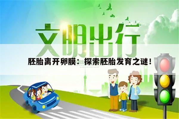 胚胎离开卵膜:探索胚胎发育之谜!