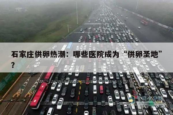 石家庄供卵热潮:哪些医院成为“供卵圣地”?