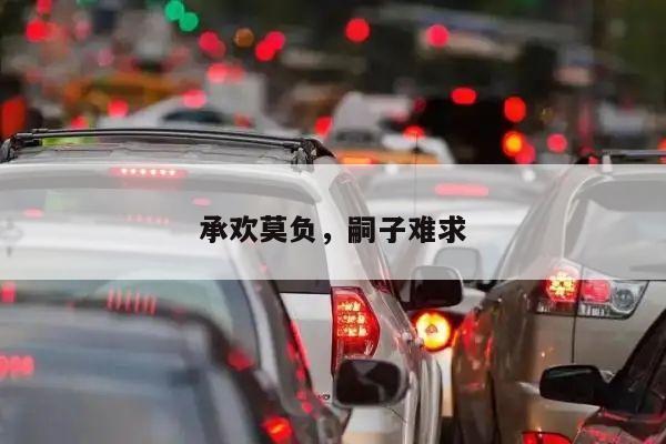 承欢莫负,嗣子难求