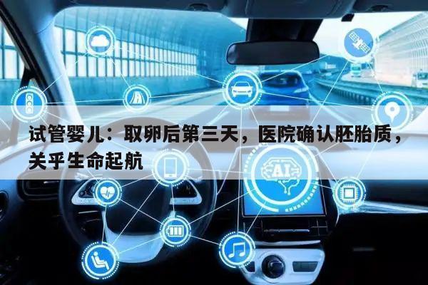 试管婴儿：取卵后第三天，医院确认胚胎质，关乎生命起航