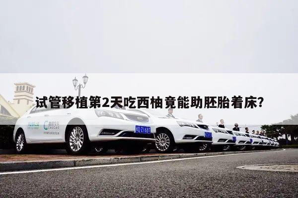 试管移植第2天吃西柚竟能助胚胎着床?