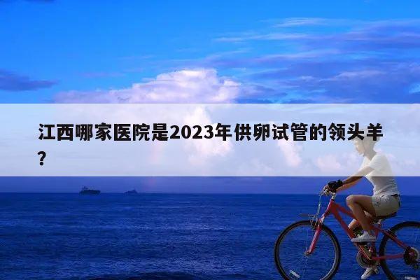 江西哪家医院是2023年供卵试管的领头羊？