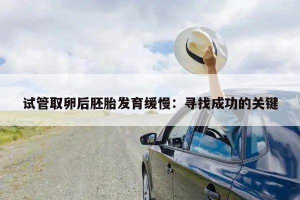 试管取卵后胚胎发育缓慢:寻找成功的关键