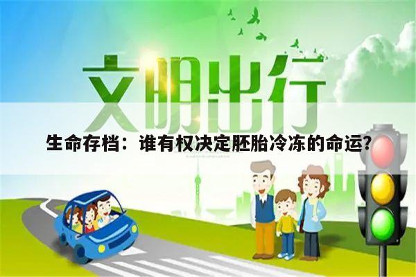 生命存档：谁有权决定胚胎冷冻的命运？