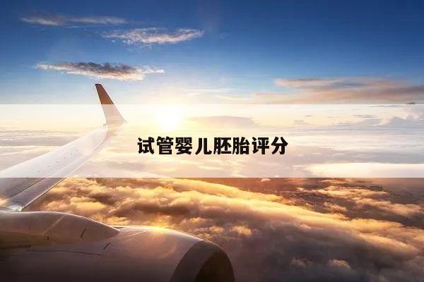 试管婴儿胚胎评分