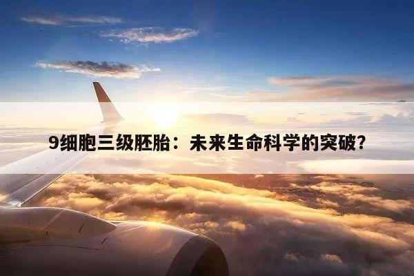 9细胞三级胚胎:未来生命科学的突破?