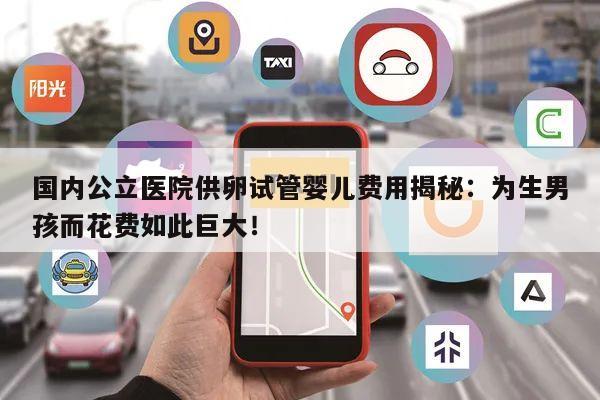 国内公立医院供卵试管婴儿费用揭秘:为生男孩而花费如此巨大!