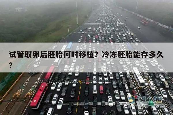 试管取卵后胚胎何时移植？冷冻胚胎能存多久？