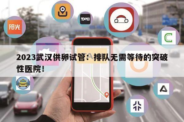 2023武汉供卵试管:排队无需等待的突破性医院!