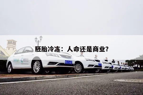 胚胎冷冻:人命还是商业?
