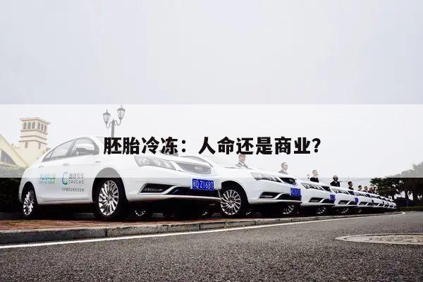 胚胎冷冻：人命还是商业？