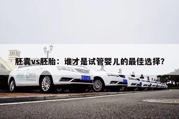 胚囊vs胚胎:谁才是试管婴儿的最佳选择?