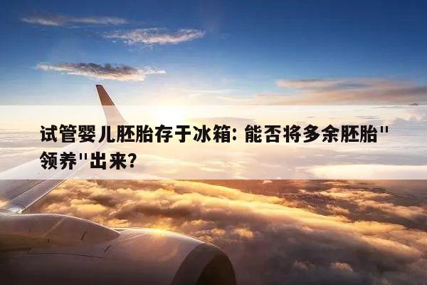 试管婴儿胚胎存于冰箱: 能否将多余胚胎"领养"出来?