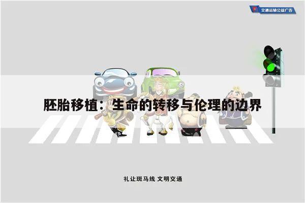 胚胎移植：生命的转移与伦理的边界