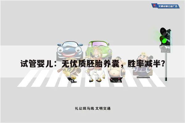 试管婴儿:无优质胚胎养囊,胜率减半?