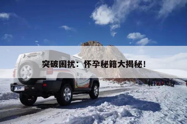 突破困扰:怀孕秘籍大揭秘!
