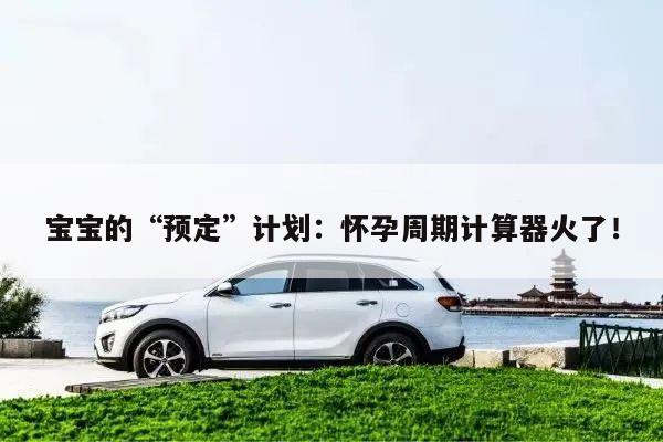 宝宝的“预定”计划：怀孕周期计算器火了！