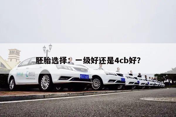 胚胎选择：一级好还是4cb好？