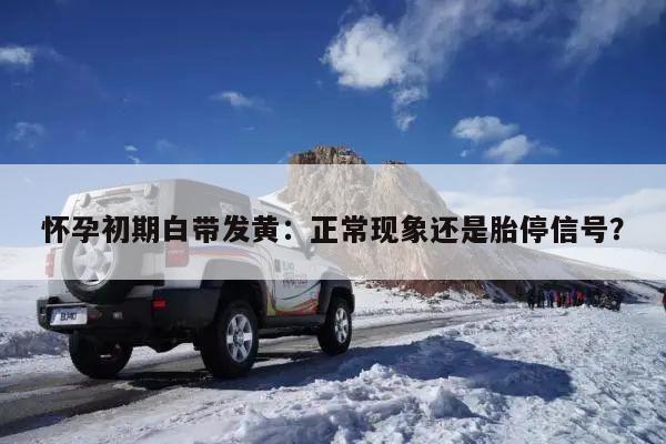 怀孕初期白带发黄:正常现象还是胎停信号?
