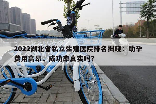 2022湖北省私立生殖医院排名揭晓:助孕费用高昂,成功率真实吗?