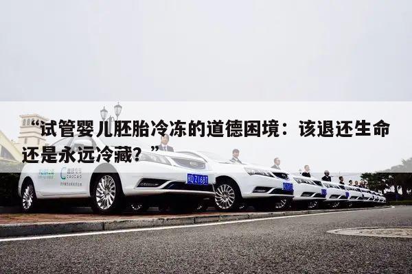“试管婴儿胚胎冷冻的道德困境:该退还生命还是永远冷藏?”