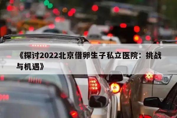 《探讨2022北京借卵生子私立医院:挑战与机遇》