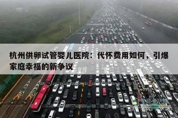 杭州供卵试管婴儿医院：代怀费用如何，引爆家庭幸福的新争议