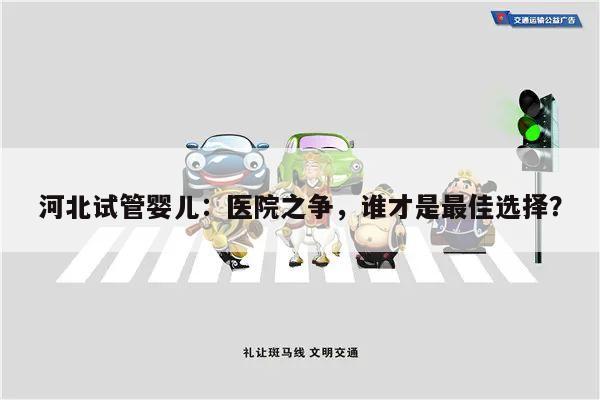 河北试管婴儿:医院之争,谁才是最佳选择?