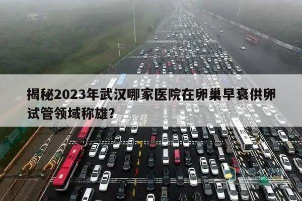 揭秘2023年武汉哪家医院在卵巢早衰供卵试管领域称雄?