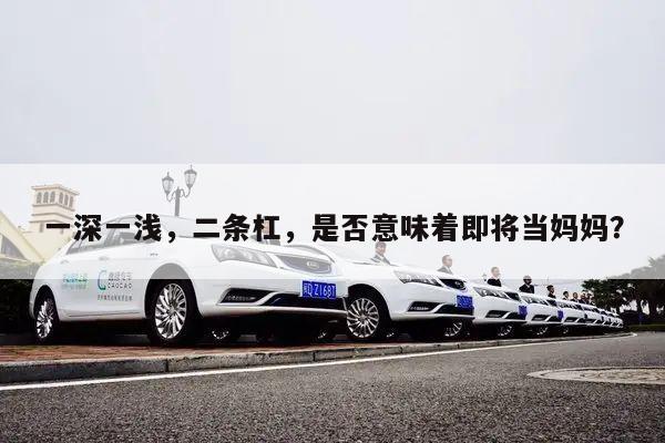 一深一浅,二条杠,是否意味着即将当妈妈?