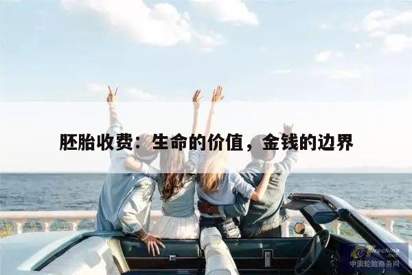 胚胎收费:生命的价值,金钱的边界