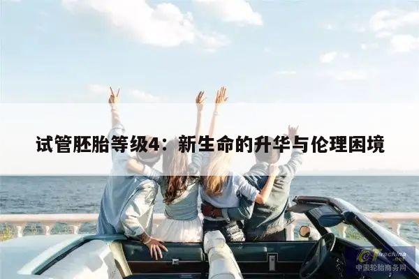 试管胚胎等级4：新生命的升华与伦理困境