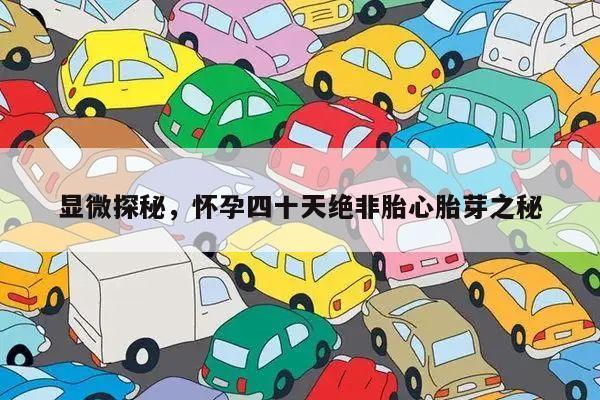 显微探秘,怀孕四十天绝非胎心胎芽之秘