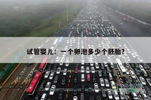 试管婴儿：一个卵泡多少个胚胎？
