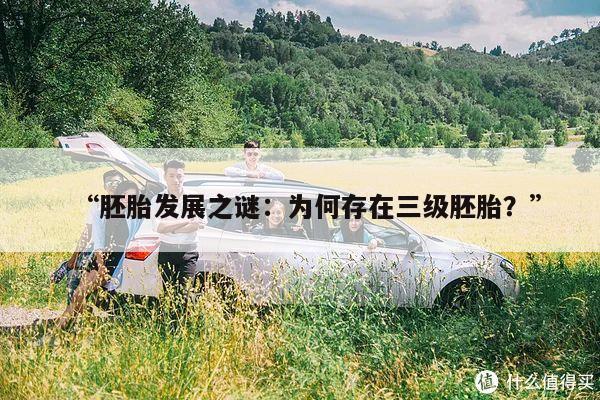 “胚胎发展之谜:为何存在三级胚胎?”