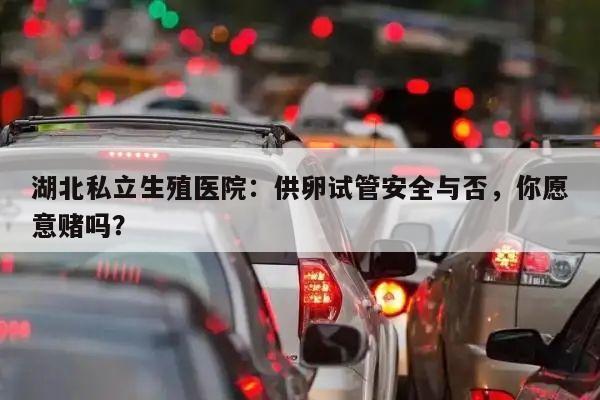 湖北私立生殖医院:供卵试管安全与否,你愿意赌吗?
