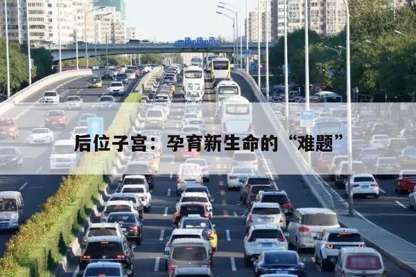 后位子宫：孕育新生命的“难题”