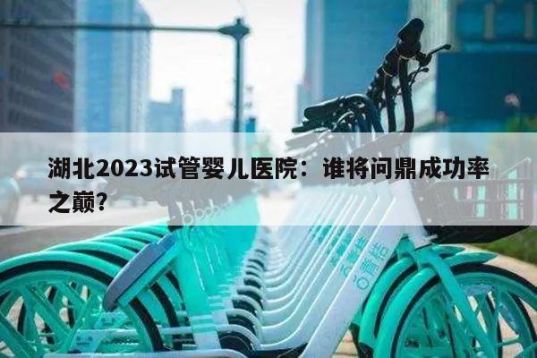 湖北2023试管婴儿医院:谁将问鼎成功率之巅?