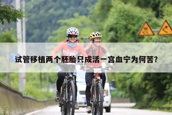 试管移植两个胚胎只成活一宫血宁为何苦?