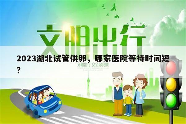 2023湖北试管供卵,哪家医院等待时间短?