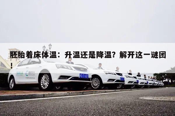 胚胎着床体温:升温还是降温?解开这一谜团!