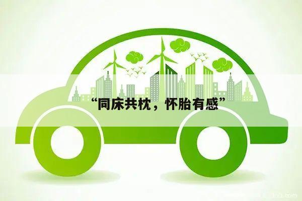 “同床共枕,怀胎有感”