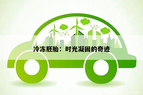 冷冻胚胎:时光凝固的奇迹